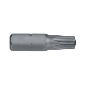 Torx TX30 x 25mm Insert Bit