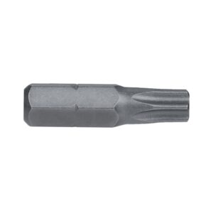 Torx TX30 x 25mm Tamper Proof Insert Bit