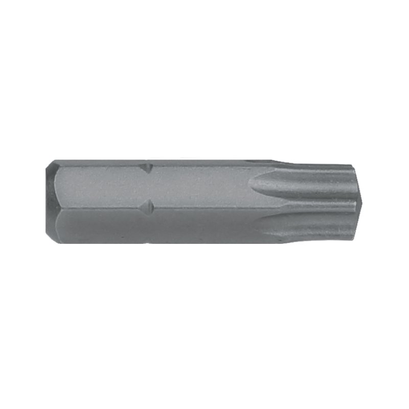 Torx TX40 x 25mm Insert Bit